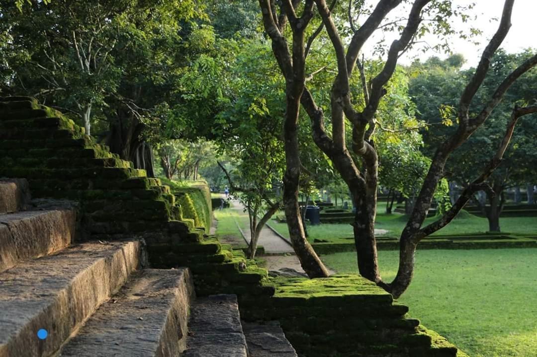 River Nature Park Polonnaruwa Dış mekan fotoğraf