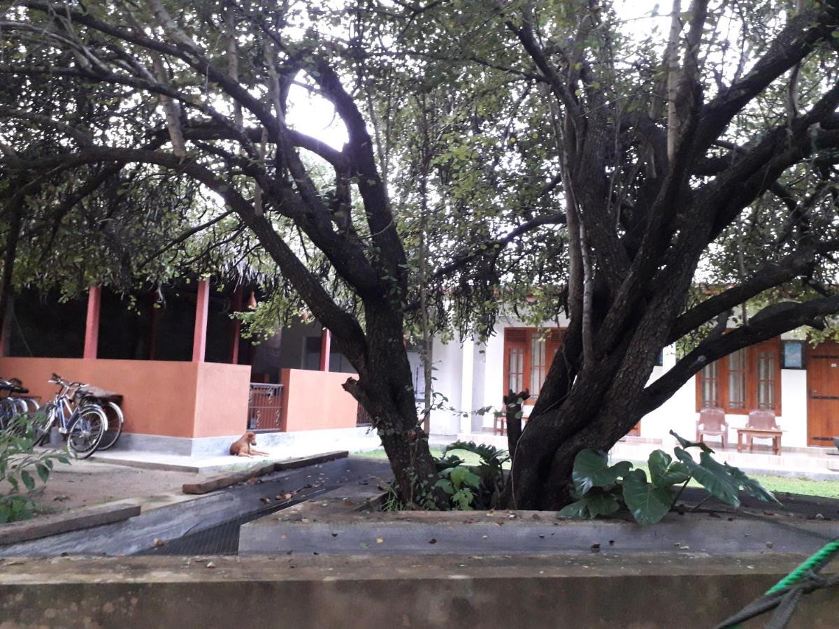 River Nature Park Polonnaruwa Dış mekan fotoğraf